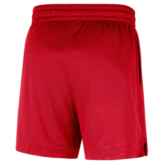 Nike Ανδρικό σορτς Chicago Bulls NBA Mesh Shorts